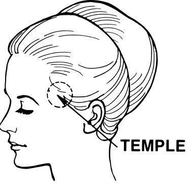 A professional drawing of a head with long hair illustrating the location of the temple area which is used as reference to buzz the hair in the manbun undercut hairstyle